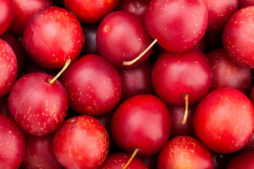 cherry plum