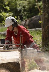 Man Working With Chainsaw