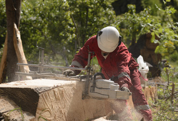 Man Working With Chainsaw