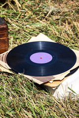 Photo of an Old vinyl record on the grass.