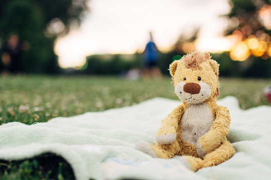 Lonely plush toy on a blanket in a park