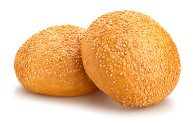 sandwich bun