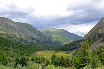 Naklejka premium Алтай