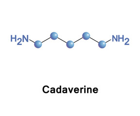 Cadaverine toxic diamine