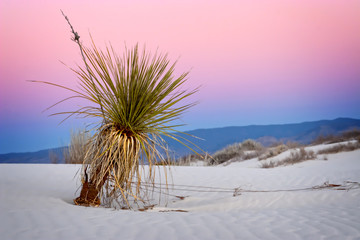 White Sands Apen glow