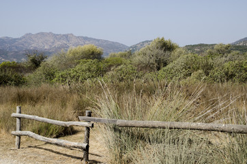 Sfondo con staccionata e macchia mediterranea