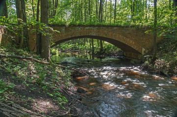 Most nad rzeką w lesie.