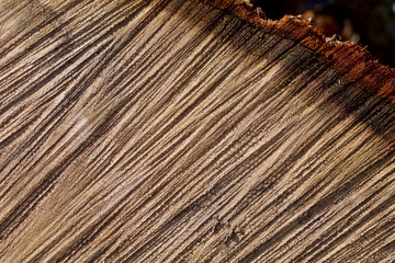 Grooves in an oak section with shadows