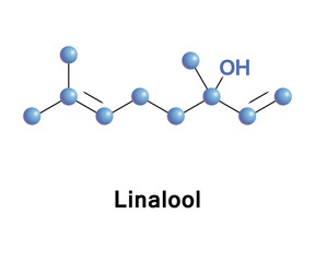 Linalool terpene alcohol