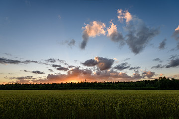 dramatic sunset over countryside