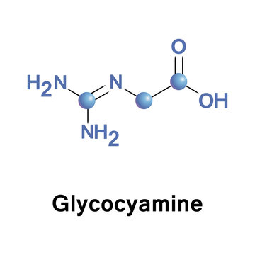 Glycocyamine metabolite of glycine