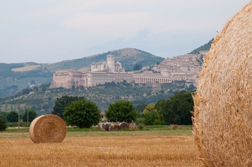 Assisi vista panoramica