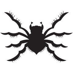black spider. silhouette. vector illustration. Drawing by hand.