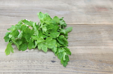 イタリアンパセリ