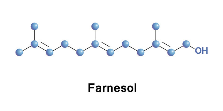 Farnesol acyclic sesquiterpene alcohol