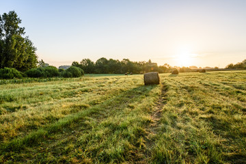 countryside fields in summer with rolls of hay