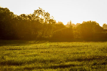 Obraz premium countryside fields in summer with rolls of hay