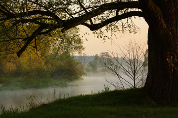 Rzeka o poranku © Grzegorz