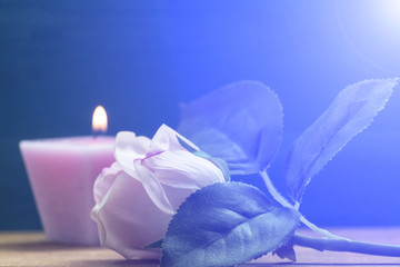 Rose and candle on the table