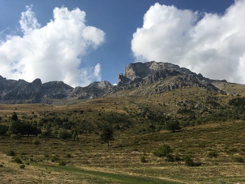 Mongioie