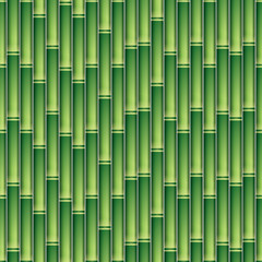 Seamless Bamboo Texture Pattern Background