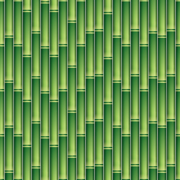Seamless Bamboo Texture Pattern Background