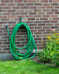 Garden hose hanging on a brick wall near flowers