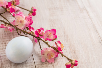 Pink Cherry Blossom branches with pastel blue colored Easter egg