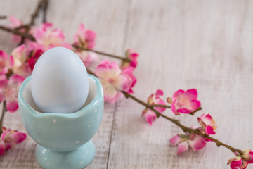 Cherry Blossom flower branches with pastel blue Easter egg in egg cup