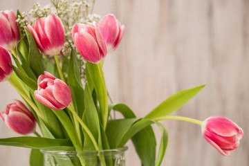 Obraz na płótnie Canvas A Vase of Pink Tulips With One All Alone