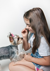 Girl to train a dog on a white background