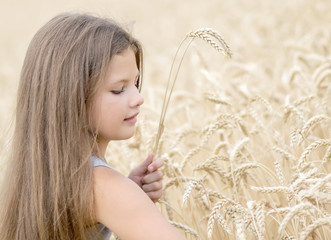 An adorable little girl with beautiful long hair collecting the wheat ears in the field on a warm summer day