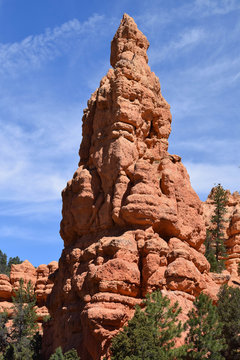 Red rock formation, tops of green trees, and blue sky with wispy clouds, early afternoon, Bryce Canyon National Park, Utah