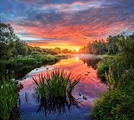 Роскошный рассвет лета Luxurious Dawn of Summer