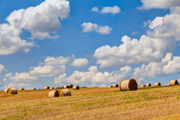 Straw bales on a field in summer