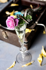Pink rose in a glass on a background of a gramophone