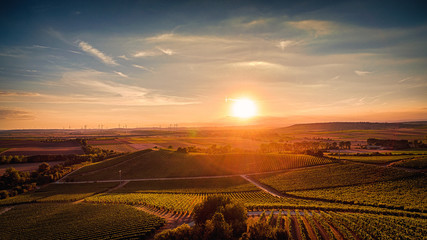 Rheinhessen Sonnenuntergang