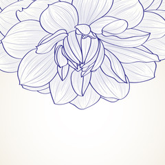 Hand-drawn floral  background. Vector flower dahlia. Element for design.