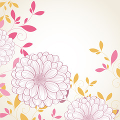 Hand-drawing floral background with flower chrysanthemum. Element for design. Vector illustration.