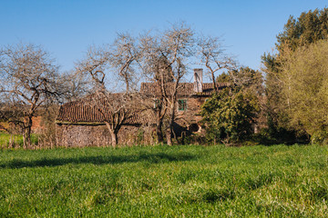 Camino Franc&eacute;s