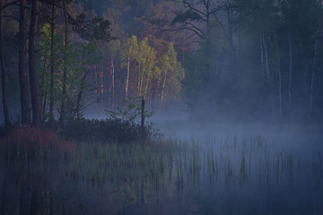 Jezioro w porannej mgle