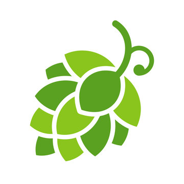 Icon illustrations for flower hops