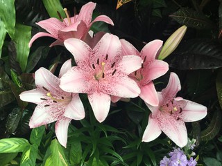 Exploring Saskatoon and Saskatchewan