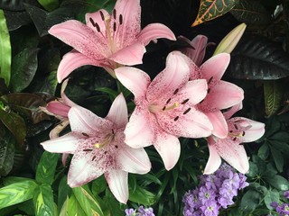 Exploring Saskatoon and Saskatchewan