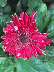 Exploring Saskatoon and Saskatchewan