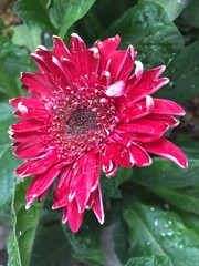 Exploring Saskatoon and Saskatchewan