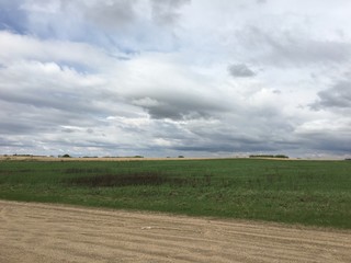 Beaver Creek Saskatoon Saskatchewan