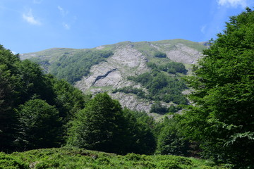 Montagne dell'Italia