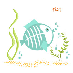animals set - fish