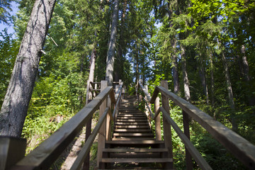 Climb up the wooden stairs